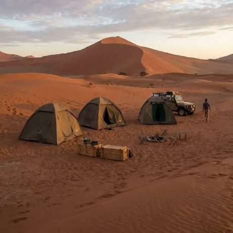 Campo nel deserto al tramonto